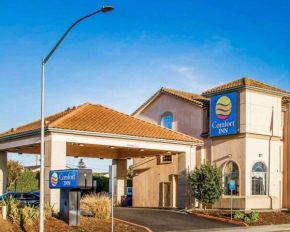  Comfort Inn Watsonville  Уотсонвилл